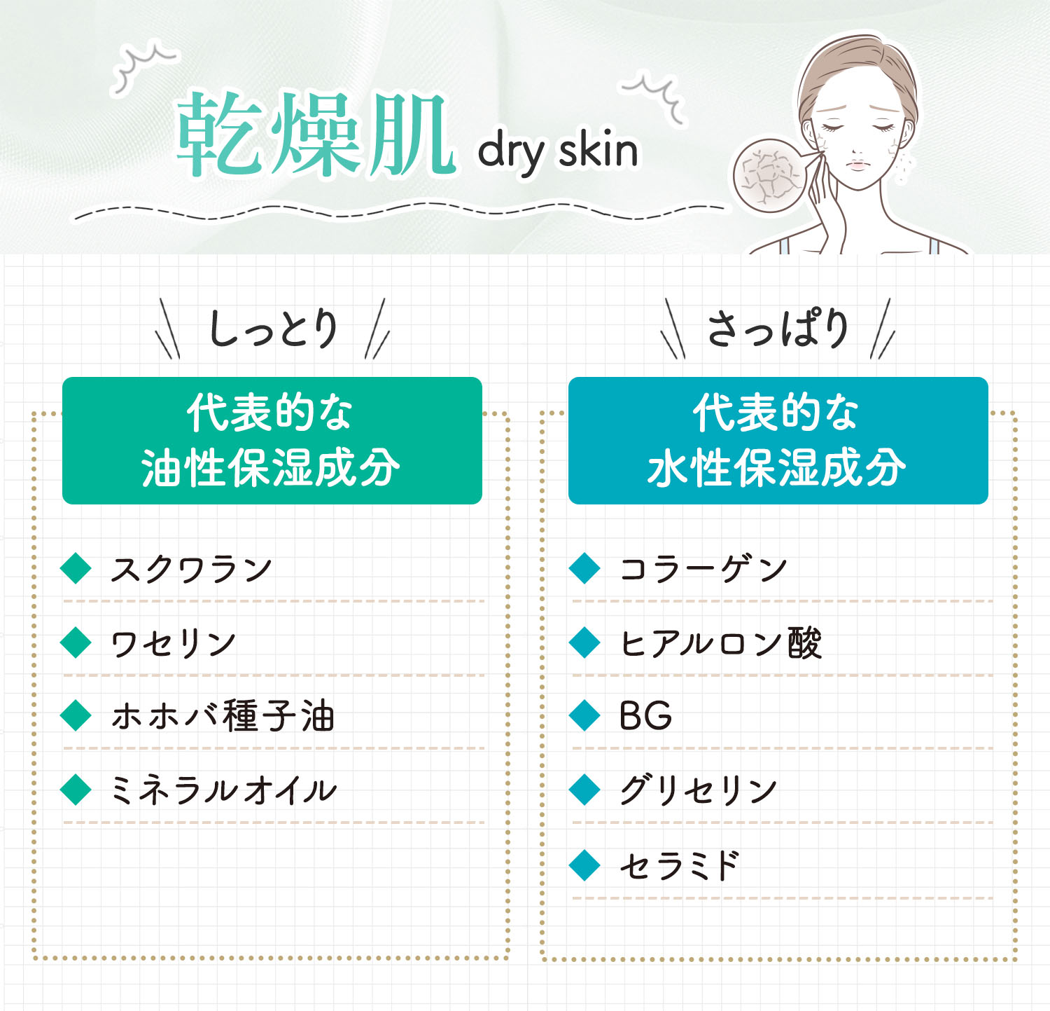 乾燥肌の代表的な油性保湿成分はスクワラン・ワセリン・ホホバ種子油・ミネラルオイル。代表的な水性保湿成分はコラーゲン・ヒアルロン酸・BG・グリセリン・セラミド。