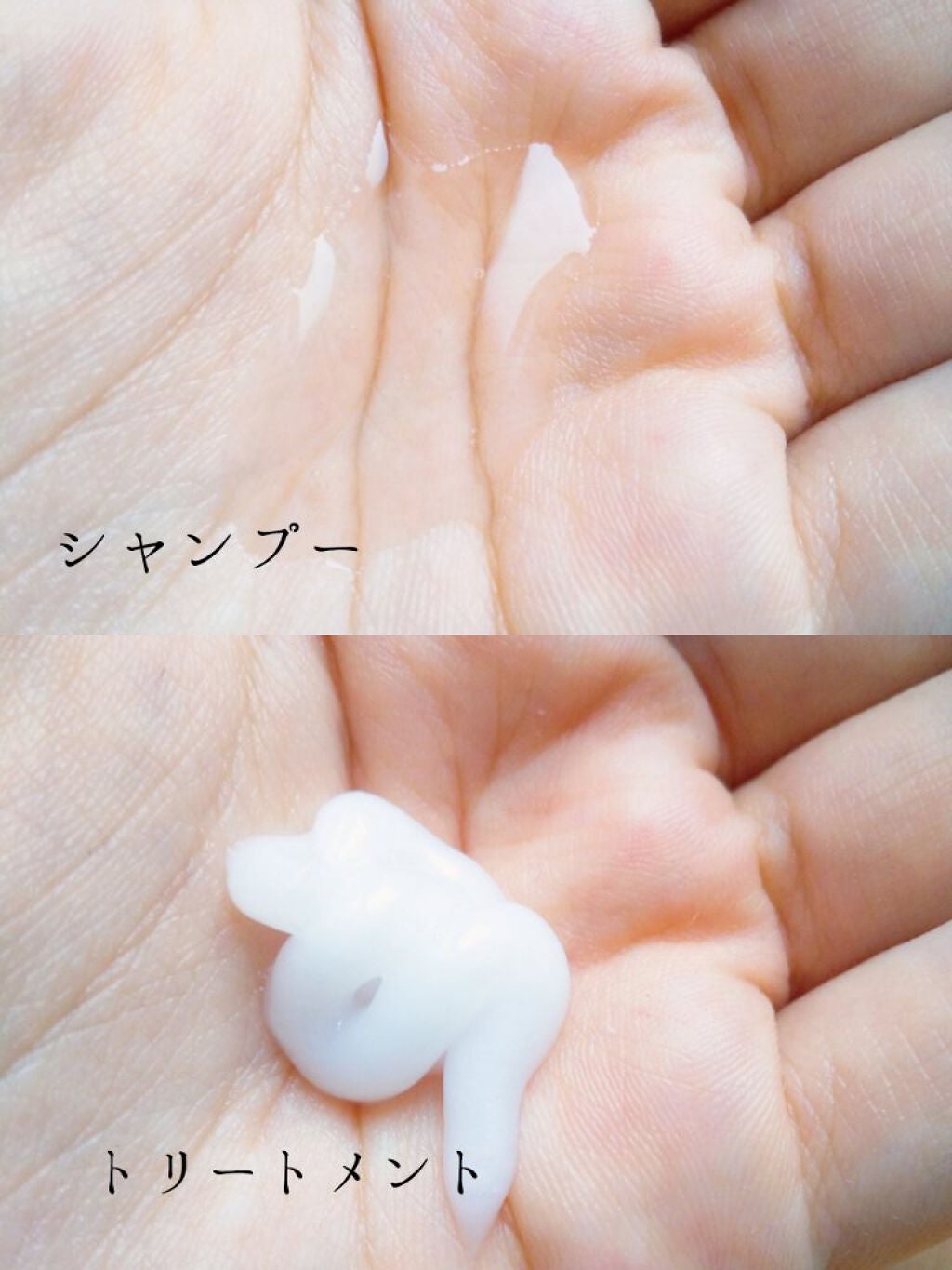 PRO-V ミセラー ピュア&クレンズ ノンシリコンシャンプー/トリートメント/パンテーン/市販シャンプーを使ったクチコミ(2枚目)