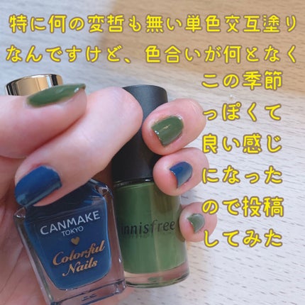 カラフルネイルズ/キャンメイク/マニキュアを使ったクチコミ(1枚目)