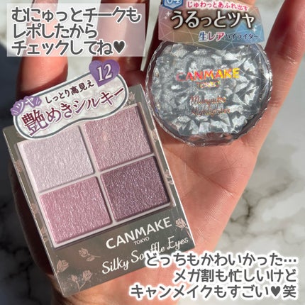 シルキースフレアイズ/キャンメイク/アイシャドウパレットを使ったクチコミ(5枚目)