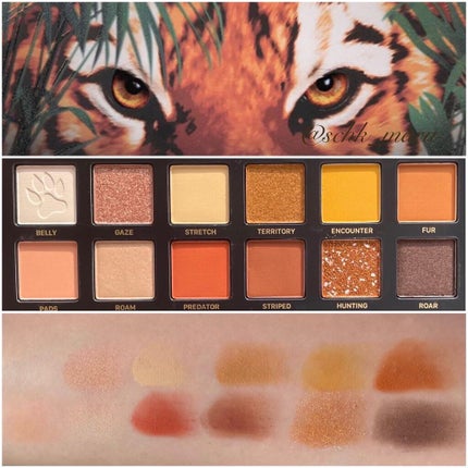 エクスプローラ12色 動物アイシャドウパレット/PERFECT DIARY/アイシャドウパレットを使ったクチコミ(3枚目)