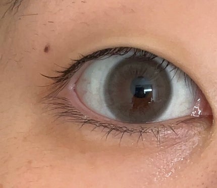 Aery Rose/chuu LENS/ワンデー(1DAY)カラコンを使ったクチコミ(5枚目)