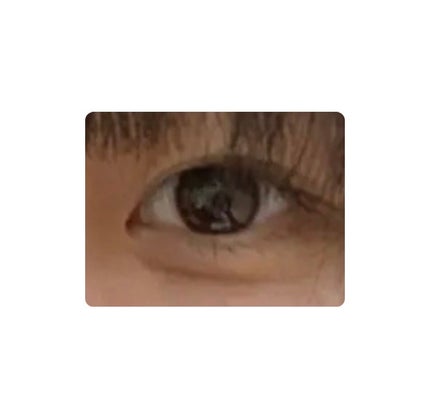 Cheritta 1day/Cheritta/ワンデー(1DAY)カラコンを使ったクチコミ(3枚目)