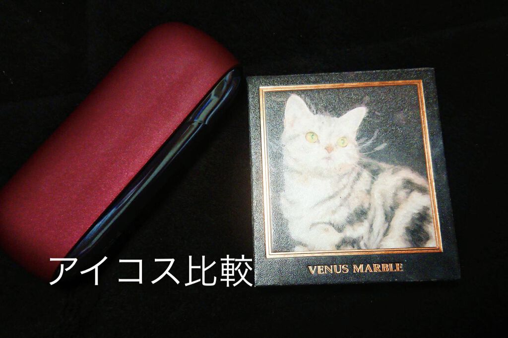 Venus Marble アイシャドウキャットシリーズ アメリカンショートヘア/Venus Marble/アイシャドウパレットを使ったクチコミ（2枚目）