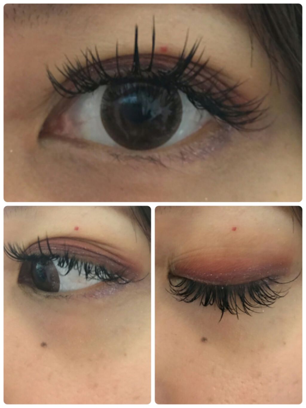 ミネラルクラッシィシャドー/エトヴォス/アイシャドウパレットを使ったクチコミ(4枚目)