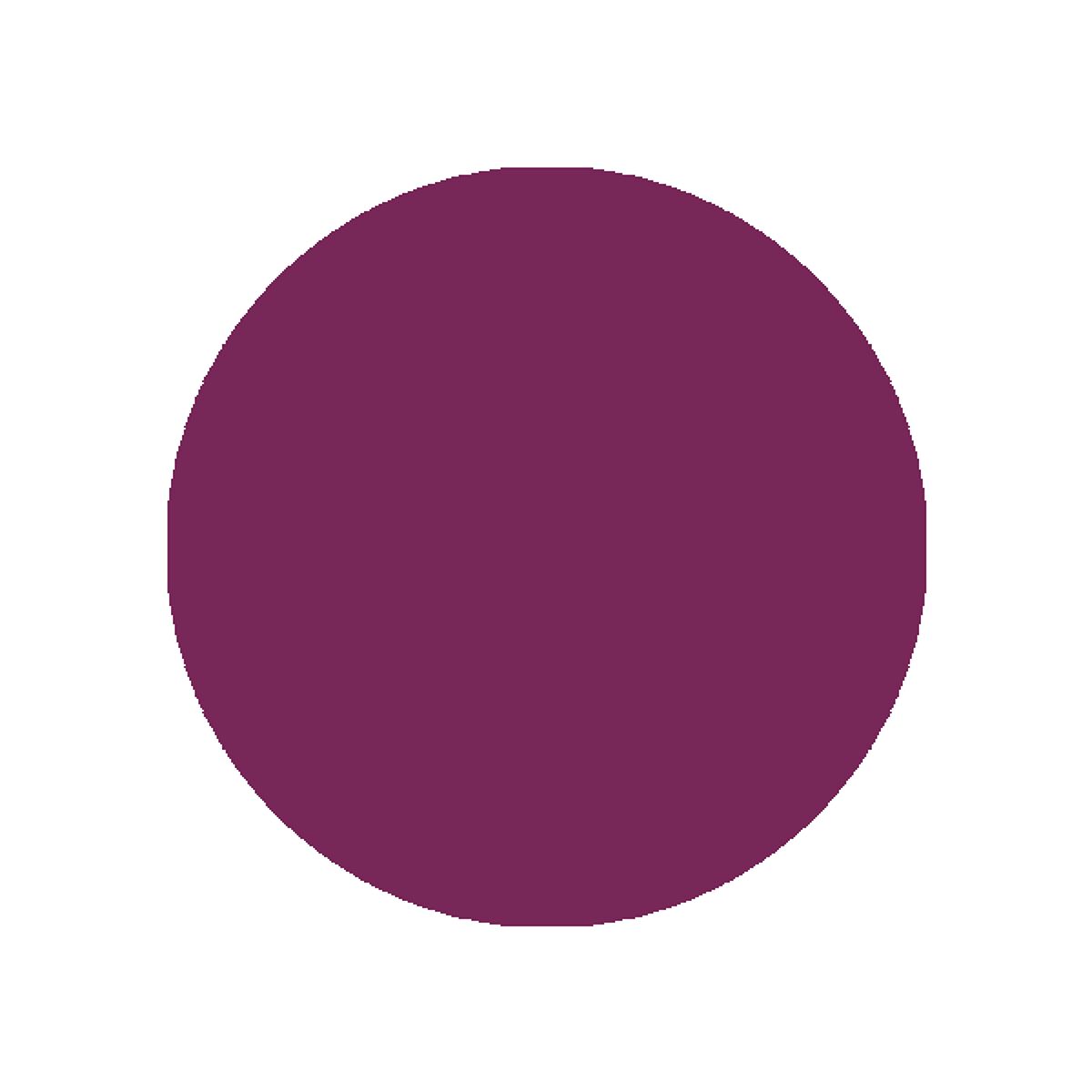 リップスティック N 310 フレンチカシス