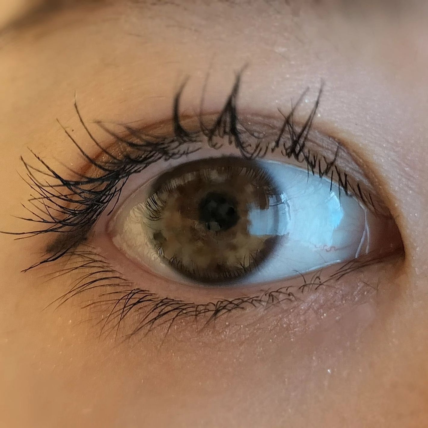 メザイク イージークリア 接着クリアタイプ/メザイク/二重まぶた用アイテムを使ったクチコミ(3枚目)