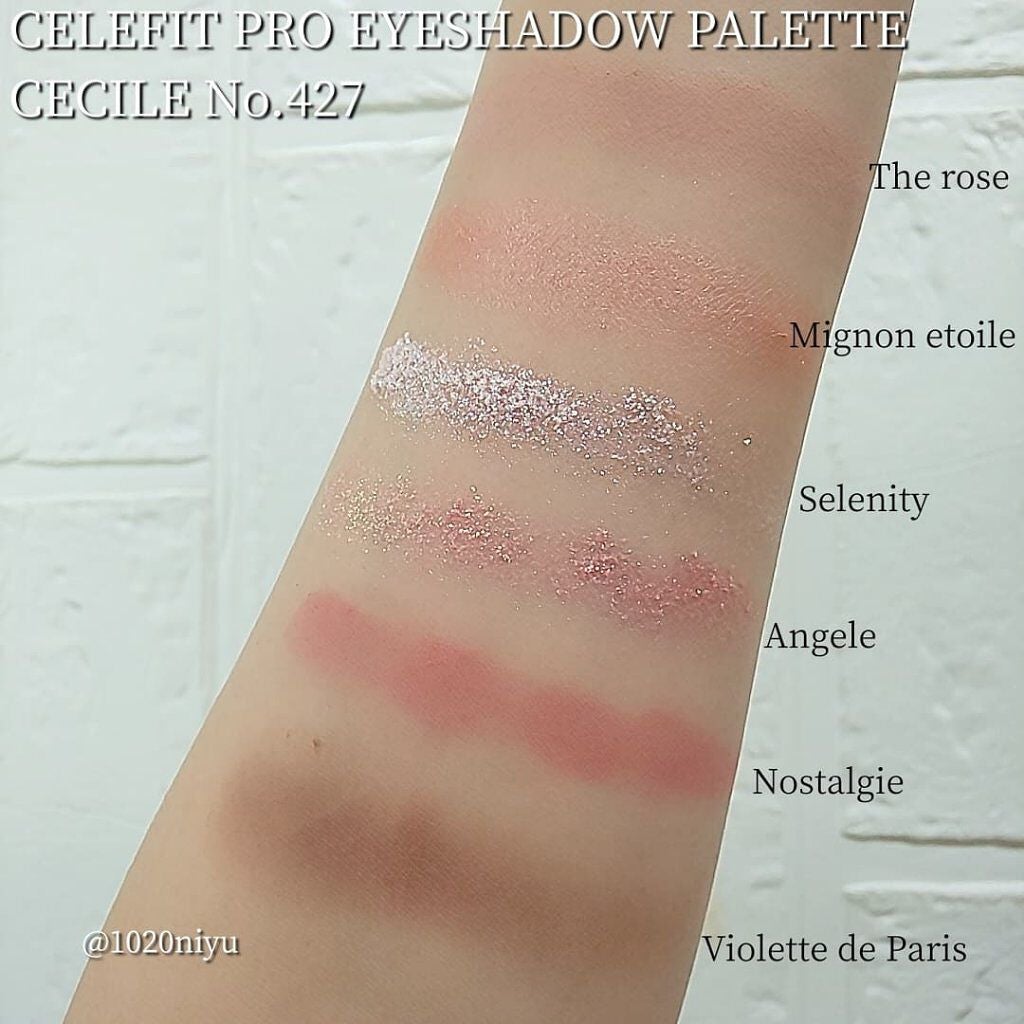 プロアイシャドウパレットセシル/CELEFIT/アイシャドウパレットを使ったクチコミ(5枚目)