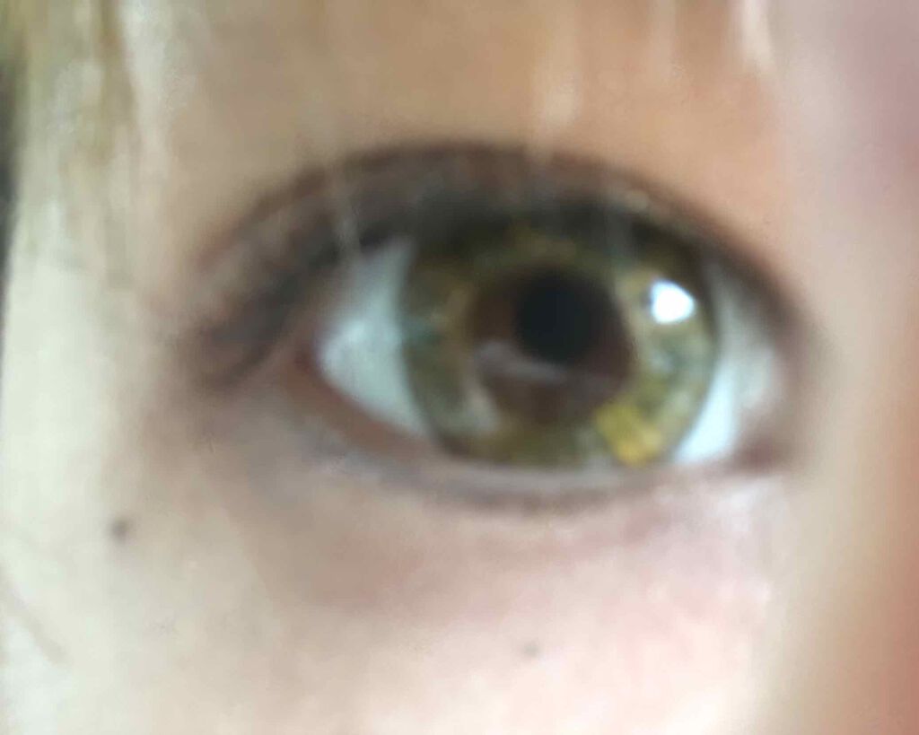 Victoria(ヴィクトリア)1day/Victoria/ワンデー(1DAY)カラコンを使ったクチコミ(3枚目)