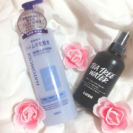 ハトムギ化粧水(ナチュリエ スキンコンディショナー R )/ナチュリエ/化粧水を使ったクチコミ(1枚目)