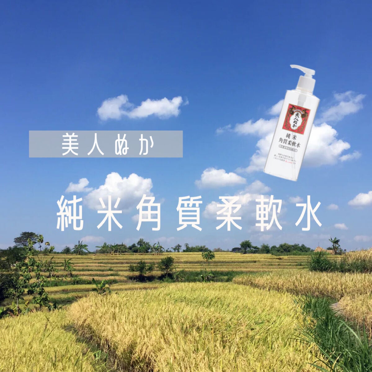 純米角質柔軟水/美人ぬか/化粧水を使ったクチコミ(1枚目)