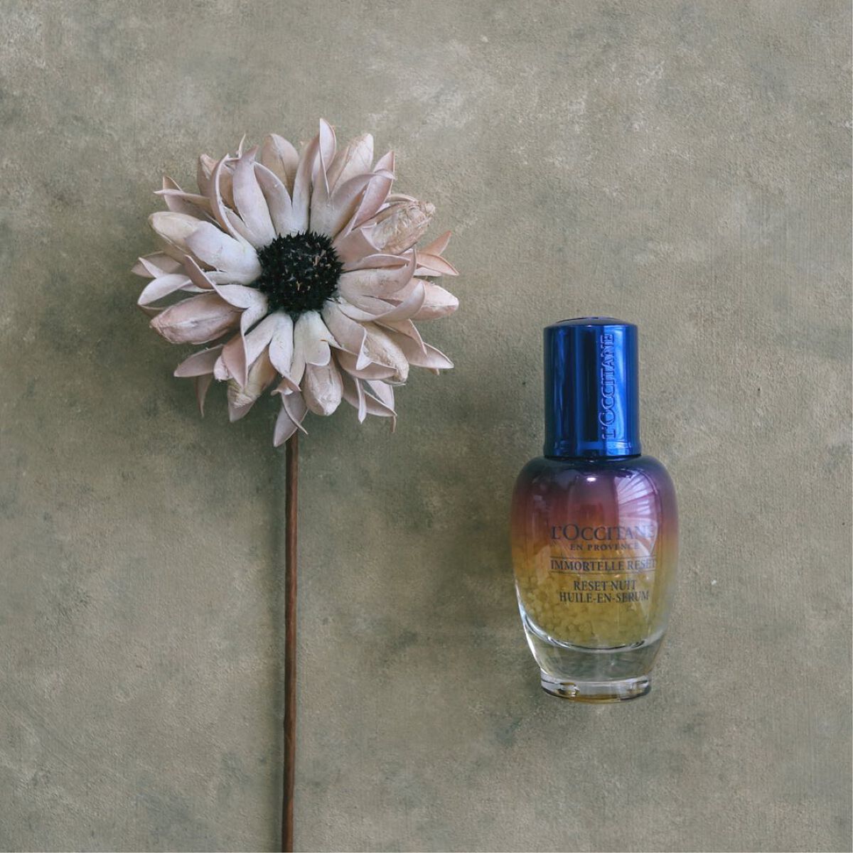 イモーテル オーバーナイトリセットセラム/L'OCCITANE/美容液を使ったクチコミ(2枚目)