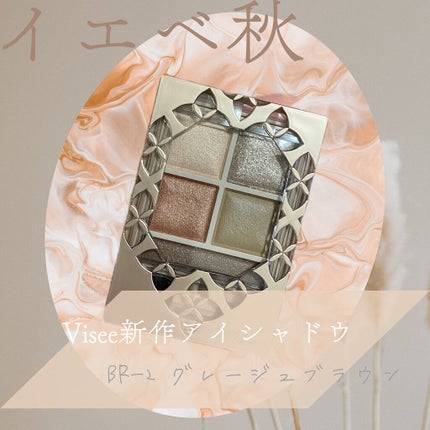 パノラマデザイン アイパレット/Visée/アイシャドウパレットを使ったクチコミ(1枚目)