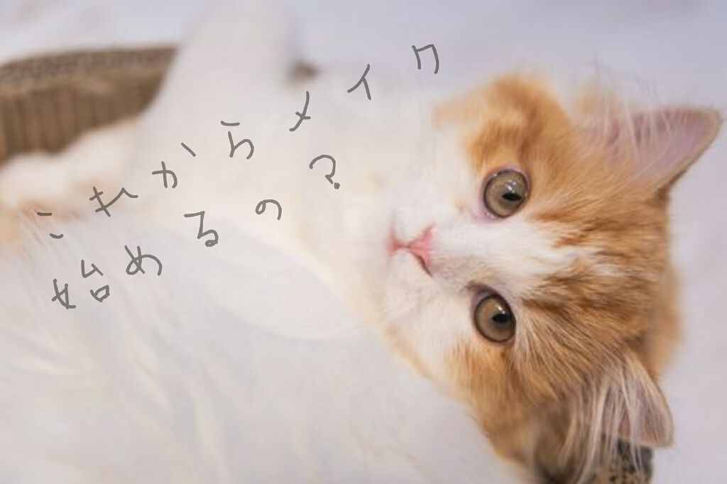 カラーリングアイブロウ/ヘビーローテーション/眉マスカラを使ったクチコミ（1枚目）