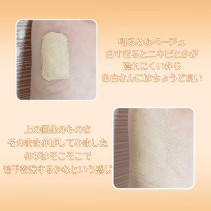 カバーパーフェクション チップコンシーラー/the SAEM/リキッドコンシーラーを使ったクチコミ(2枚目)