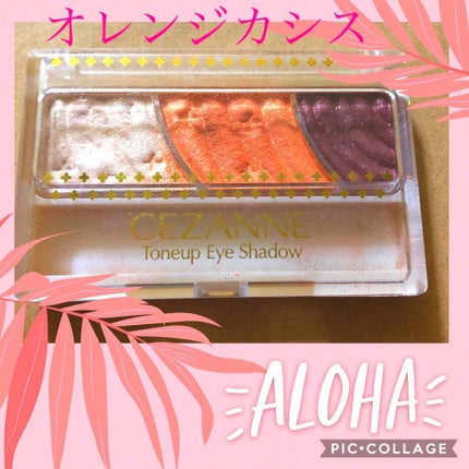 トーンアップアイシャドウ/CEZANNE/アイシャドウパレットを使ったクチコミ(1枚目)