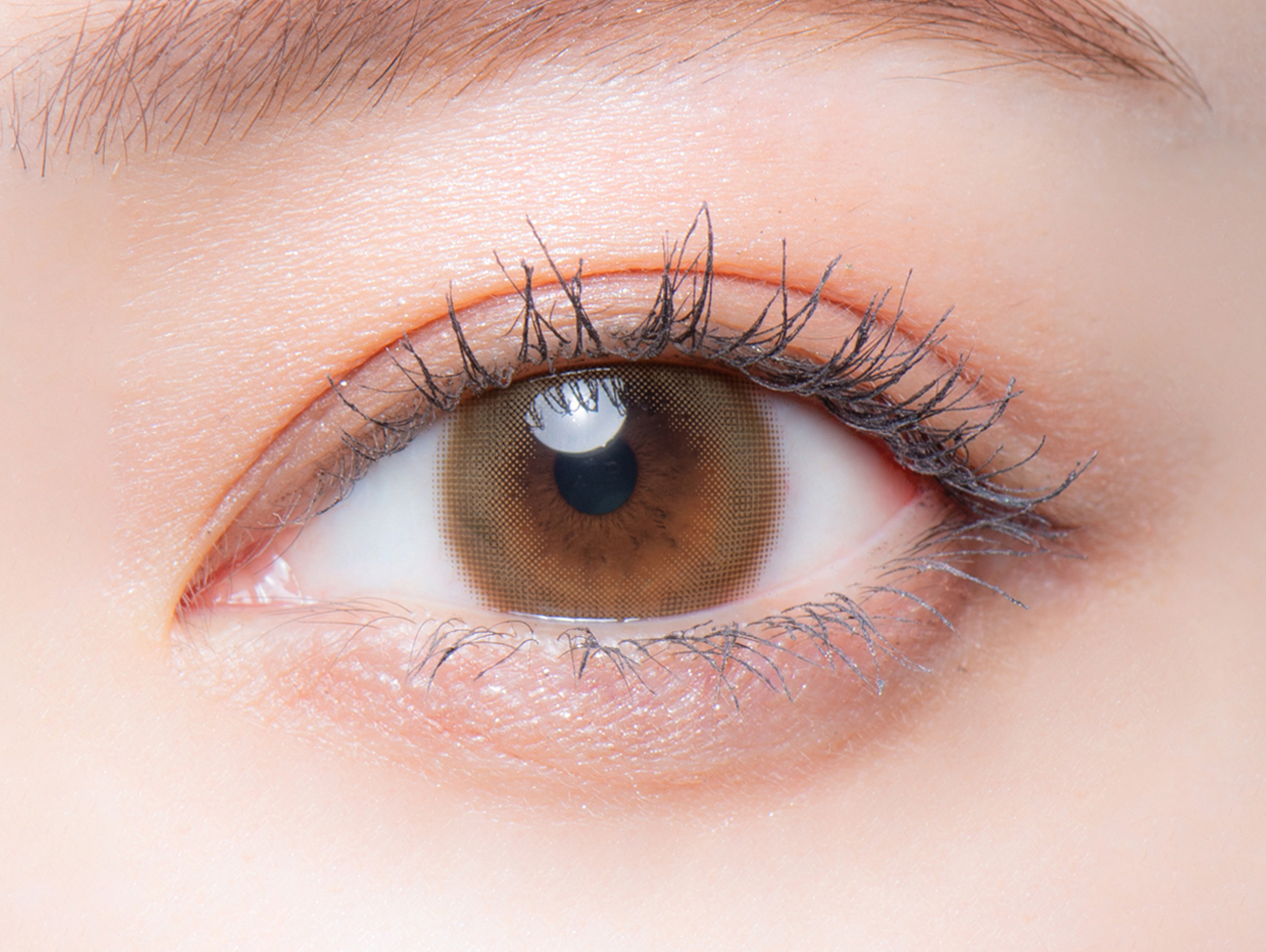 melotte 1day ビーブロンド