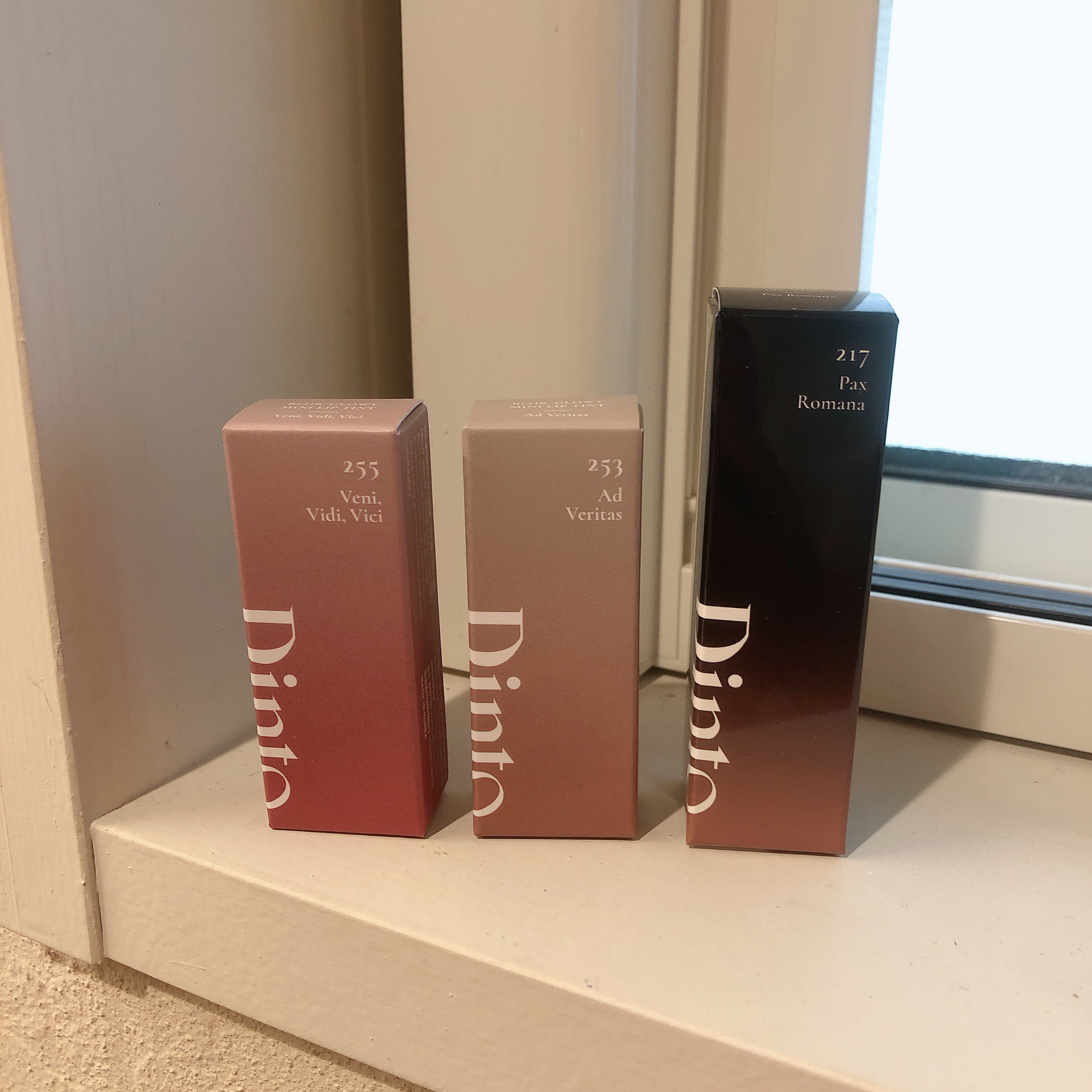 ブラーグロイリップティント 283 パクスロマーナ/Dinto/リップティントを使ったクチコミ（1枚目）