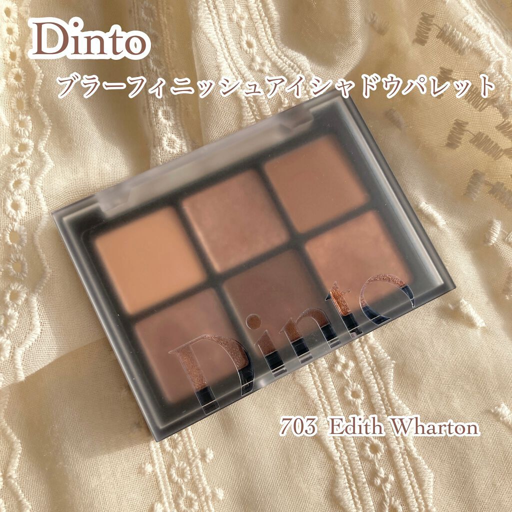 ブラーフィニシュシャドウパレット/Dinto/アイシャドウパレットを使ったクチコミ(2枚目)
