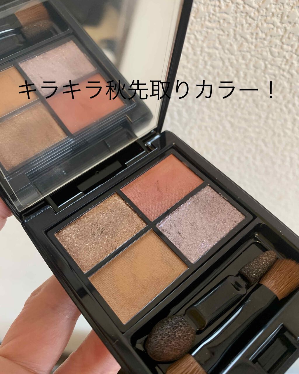 ミネラルクラッシィシャドー/エトヴォス/アイシャドウパレットを使ったクチコミ(1枚目)