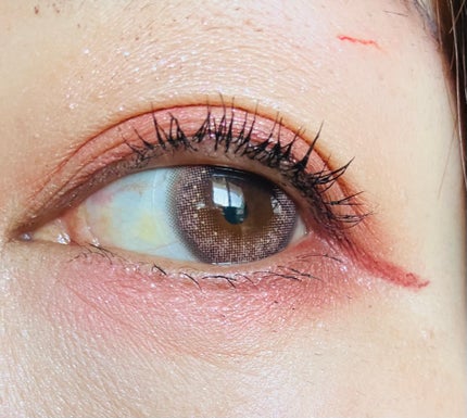 ジューシーピュアアイズ/キャンメイク/アイシャドウパレットを使ったクチコミ(5枚目)