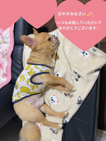 マイリアル スクイーズ マスクシート/innisfree/シートマスク・パックを使ったクチコミ(6枚目)