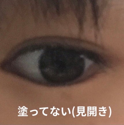 ラスティングマルチアイベース WP/キャンメイク/アイシャドウベースを使ったクチコミ(8枚目)