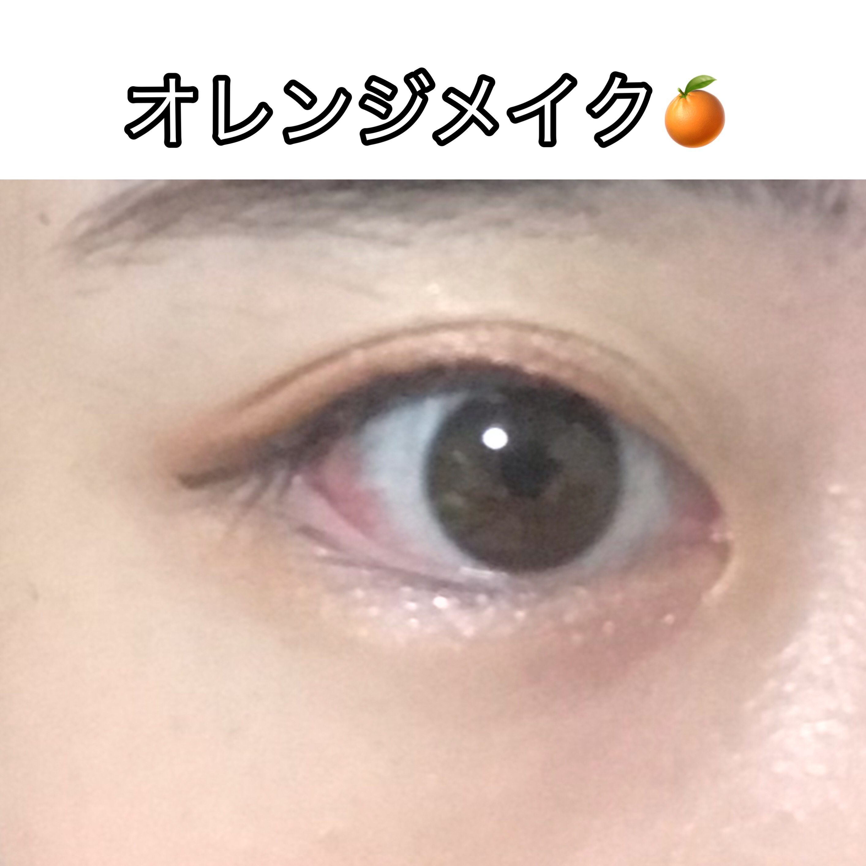 エルファーグリッターアイシャドウ/DAISO/アイシャドウパレットを使ったクチコミ（1枚目）