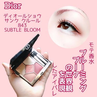 ディオールショウ サンク クルール/Dior/アイシャドウを使ったクチコミ（1枚目）