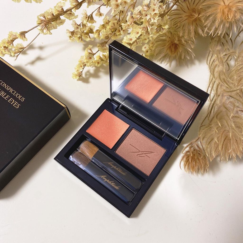 コンスピキュアス ダブルアイズ 13 マロンブラウン/Amplitude/アイシャドウパレットを使ったクチコミ（1枚目）