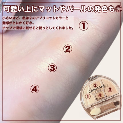プランぷくコーデアイズ/キャンメイク/パウダーアイシャドウを使ったクチコミ(4枚目)