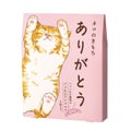 グローバル プロダクト プランニング ネコのきもち ホットアイマスク アソートセット 3枚入り(ありがとう)