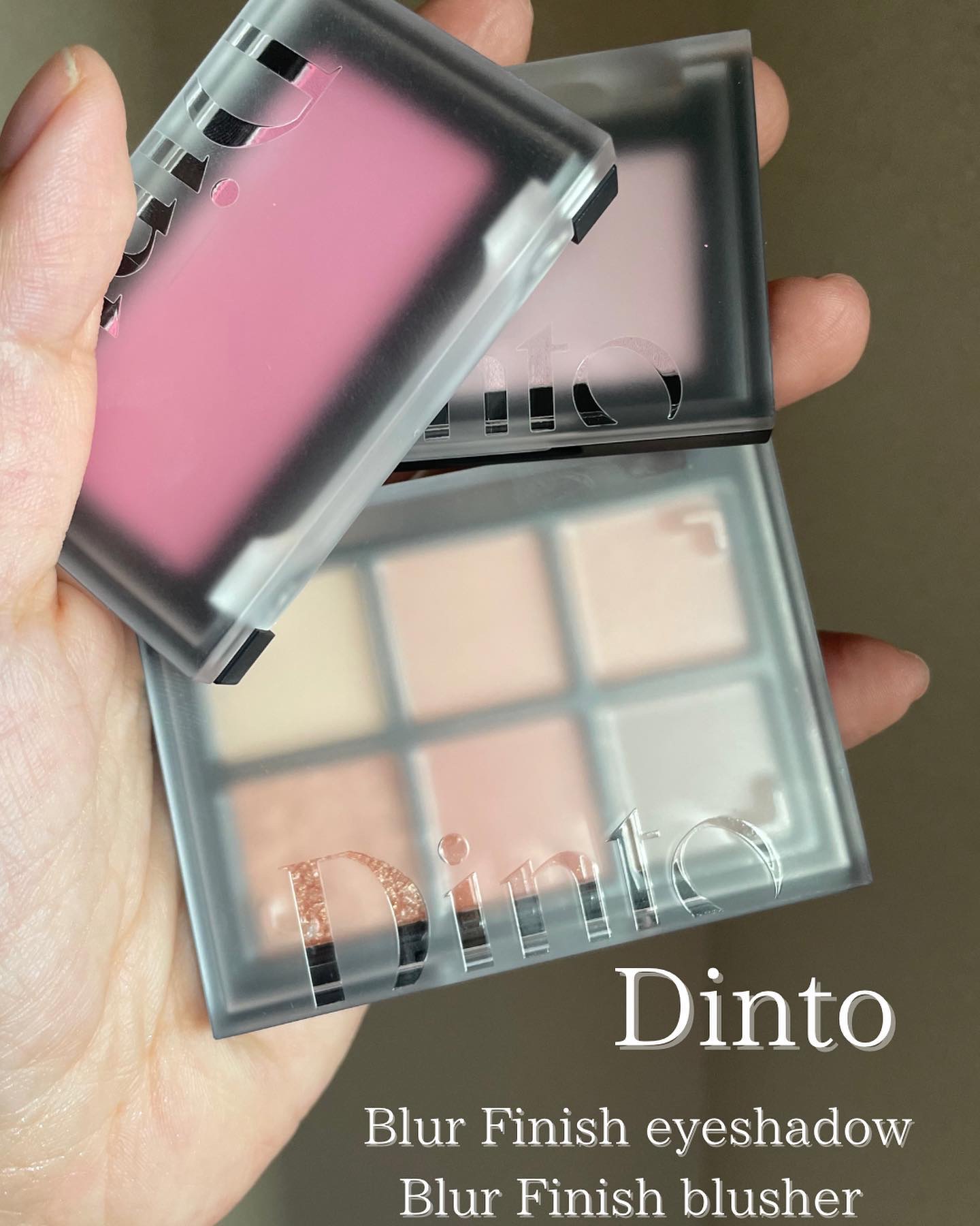 ブラーフィニシュシャドウパレット/Dinto/アイシャドウパレットを使ったクチコミ（1枚目）