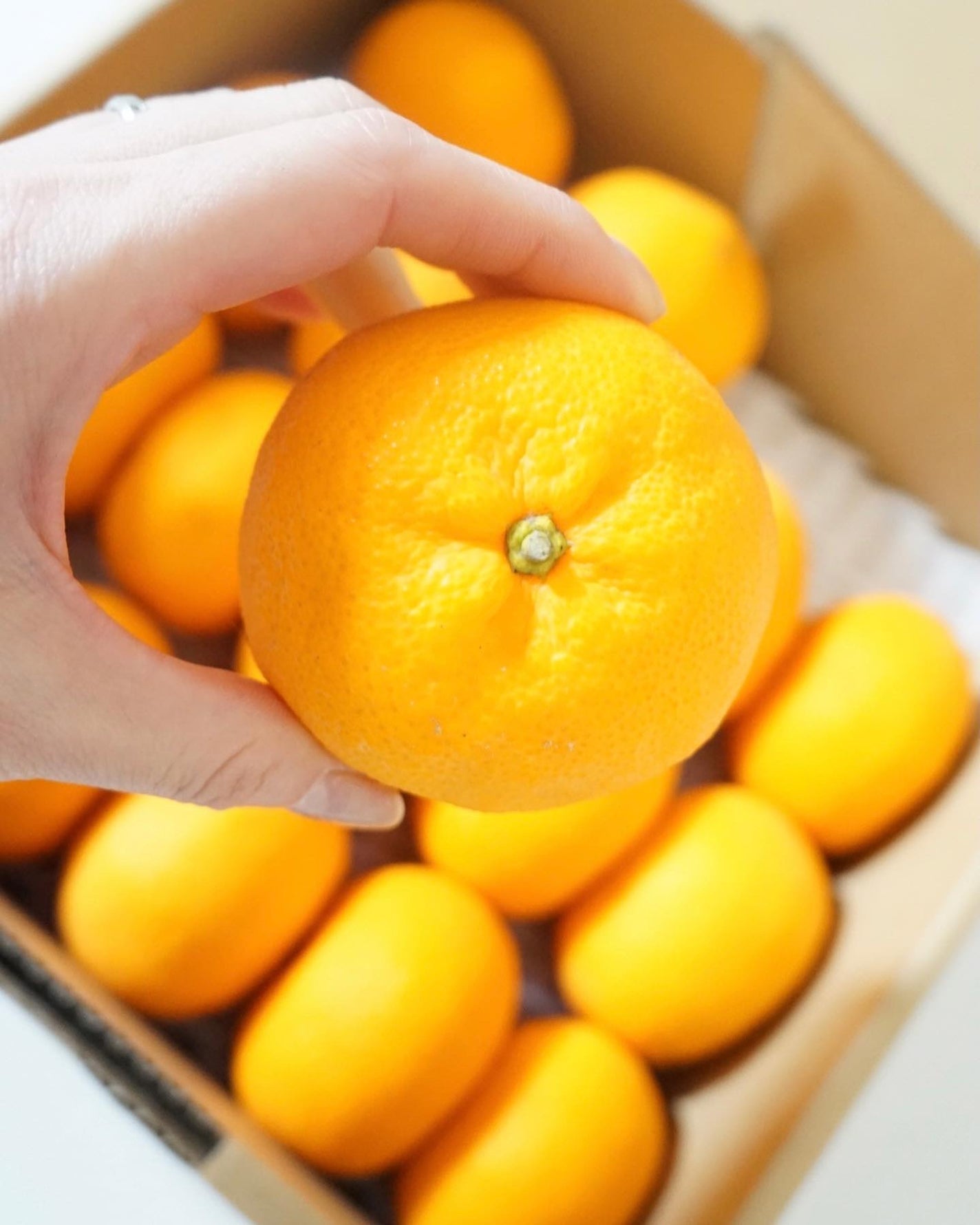 万田発酵プラス温 発酵しょうが/万田発酵/酵素ドリンクを使ったクチコミ(3枚目)