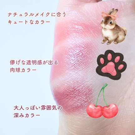 ネンマクフェイク ルージュ/Visée/口紅を使ったクチコミ(4枚目)