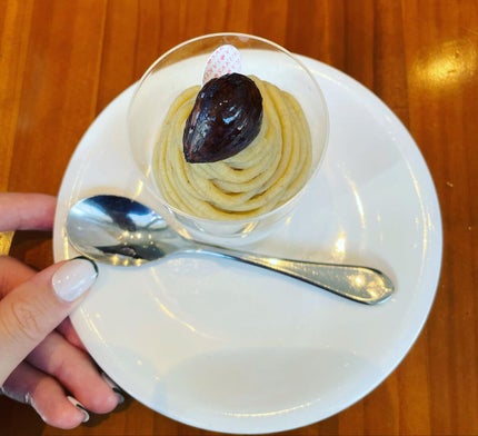 irogel/irogel(イロジェル)/ジェルネイルを使ったクチコミ(5枚目)