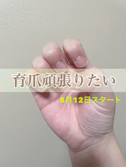 ãšãã¥ã» ã¯ã€ãã¯ã±ã¢ã³ãŒã/ettusais/ãã€ã«ãªã€ã«ã»ããªãŒãã¡ã³ãã䜿ã£ãã¯ãã³ãïŒ1æç®ïŒ