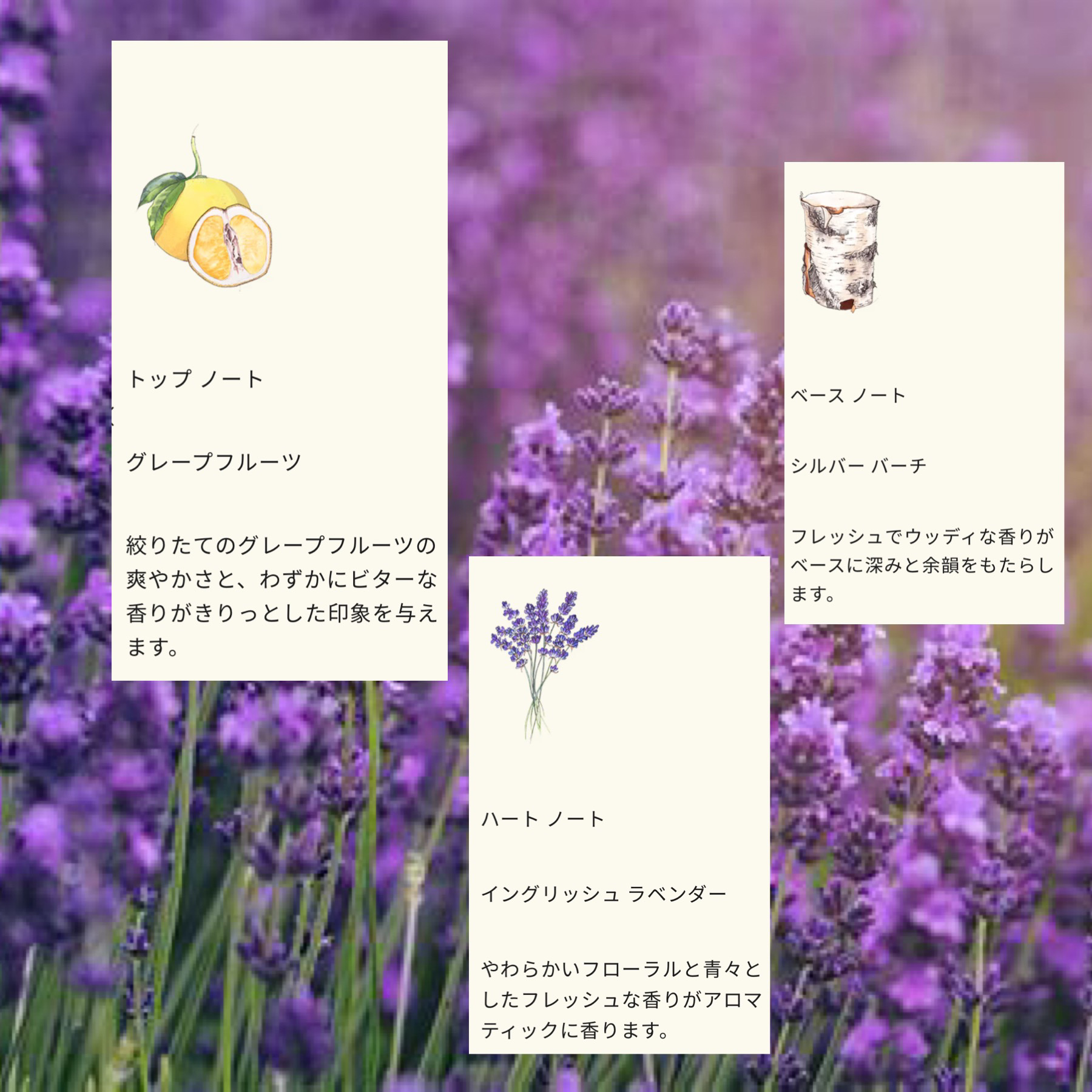 ジョーマローン シルバー バーチ u0026 ラベンダー 30ml ポイント10倍 4日20:00〜11日1:59公式｜ジョー マローン