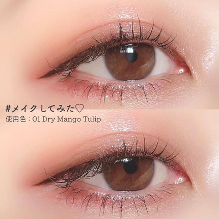 ベターザンアイズ/rom&nd/アイシャドウパレットを使ったクチコミ(9枚目)