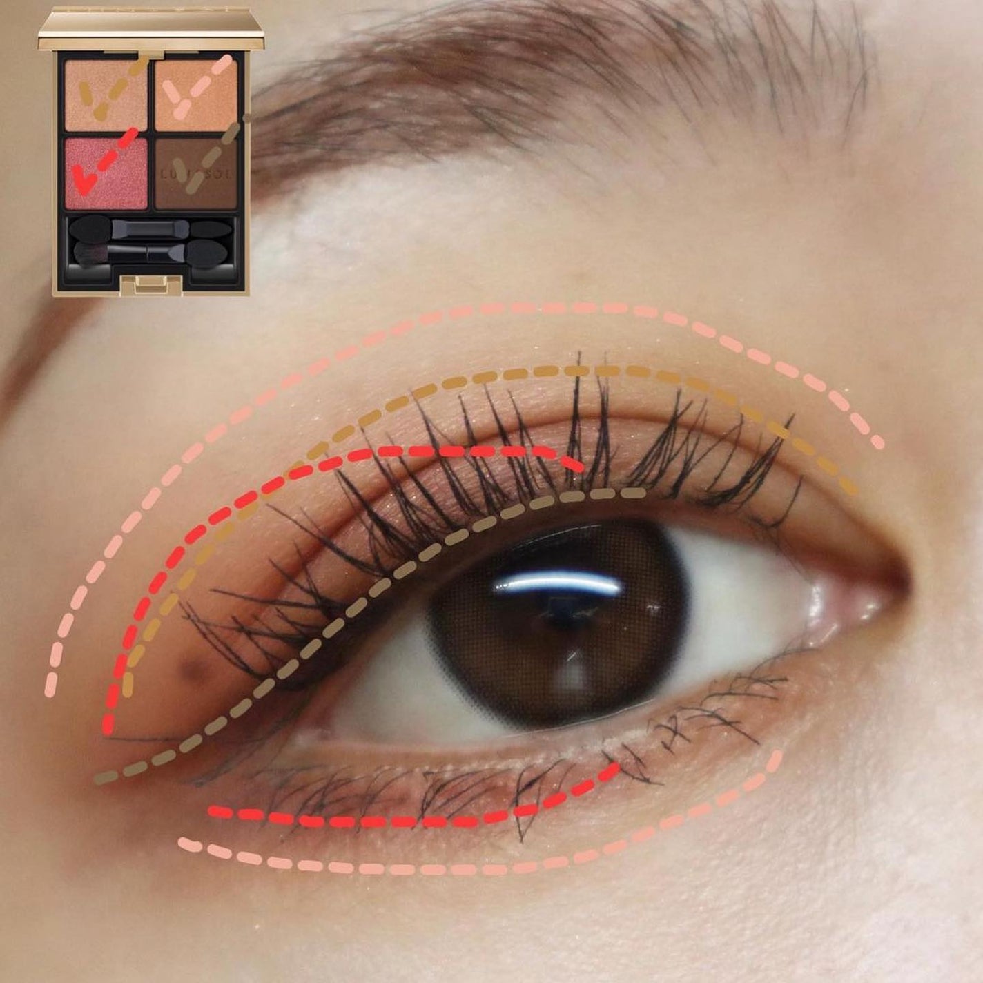 アイカラーレーション/LUNASOL/アイシャドウパレットを使ったクチコミ(4枚目)