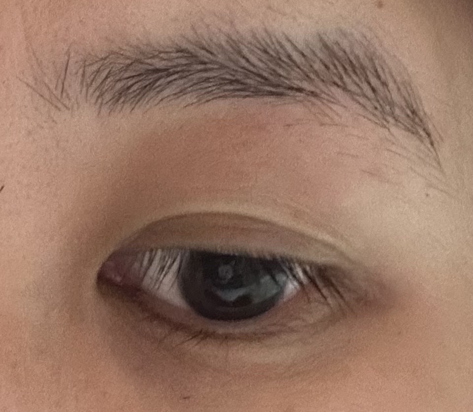 クリアウェルネス リファイニング ミルク SS/雪肌精/乳液を使ったクチコミ（2枚目）