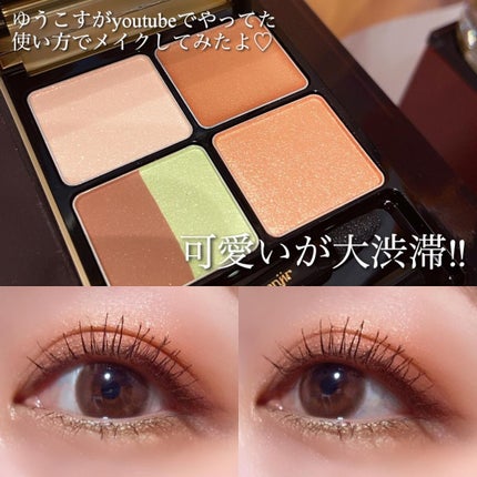 イレジスタブル アイシャドウ/anjir/アイシャドウパレットを使ったクチコミ(6枚目)