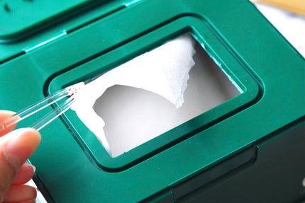 CICA デイリースージングマスク/VT/シートマスク・パックを使ったクチコミ(4枚目)