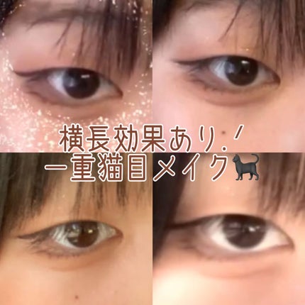 極細 アイライナーR/CEZANNE/リキッドアイライナーを使ったクチコミ(1枚目)