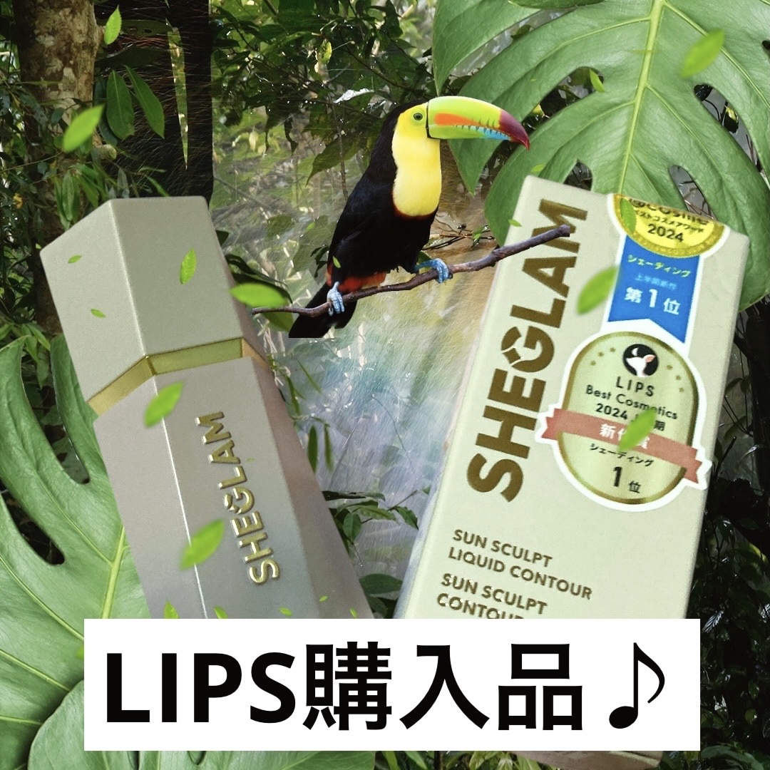 SHEGLAM サンスカルプ リキッドシェーディングのクチコミ「野生み溢れる可能になってしまいましたが、
LIPSショッピングで購入したリキッドの
シェードで.....」（1枚目）