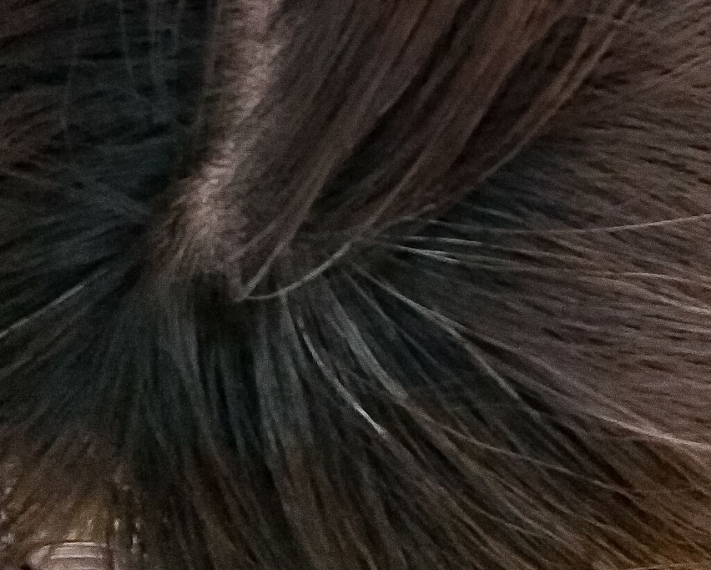 サロン ド プロ カラートリートメント サロン ド プロの辛口レビュー ほとんど染まらないカラートリートメント私は By にか ブルベ夏 混合肌 30代後半 Lips サロン ド プロ カラートリートメント サロン ド プロの辛口レビュー ほとんど染まらないカラートリートメント私は By にか ブルベ夏 混合肌 30代後半 Lips