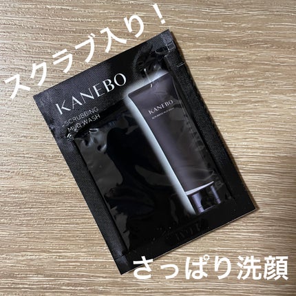 スクラビング マッド ウォッシュ/KANEBO/洗顔フォームを使ったクチコミ(1枚目)