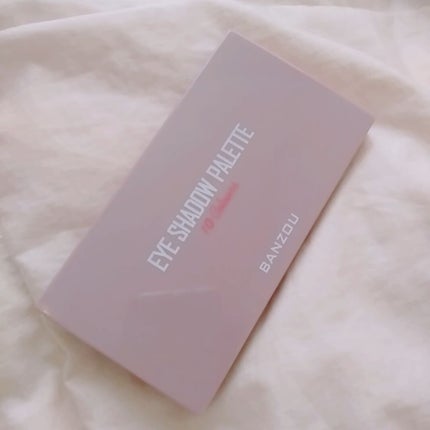 アイシャドウパレット/BANZOU/アイシャドウパレットを使ったクチコミ(2枚目)