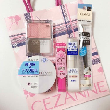 福袋 2019/CEZANNE/メイクアップキットを使ったクチコミ（2枚目）