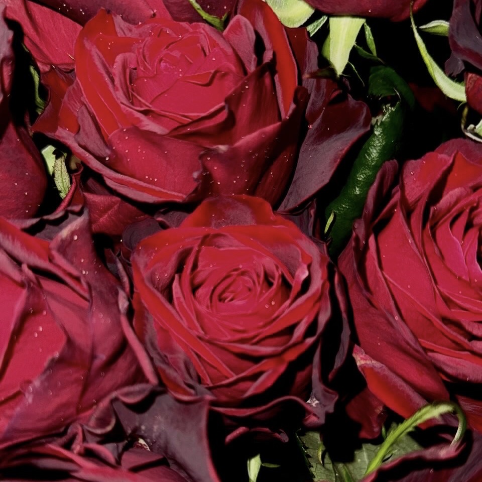 ヒプノティックプワゾン オードトワレ/Dior/香水(レディース)を使ったクチコミ（2枚目）